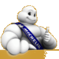 MICHELIN
