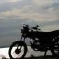 dieplk91