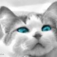 Ms_Diep