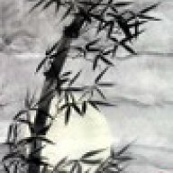 cây trúc xinh