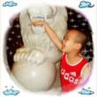 phongquan10