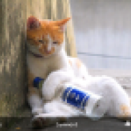 meobell