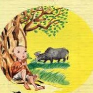 Oằn tà là vằn