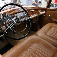 beetle1100