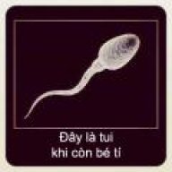 xedapdien_1607