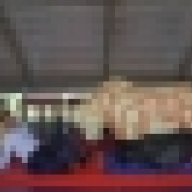 linhhangchuoi