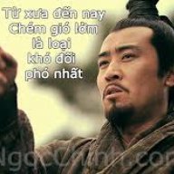 thao_hiep