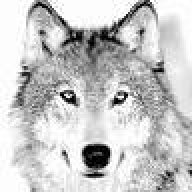 graywolf83