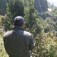 tuanttcimex