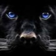 Panther