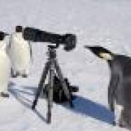 toanthangbike