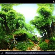 ca xinh