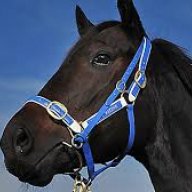 Black Caviar