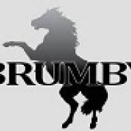 brumby