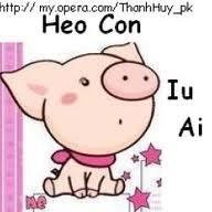 cuoimoinhay