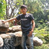 chien_oto