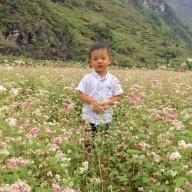 Thiên Tùng