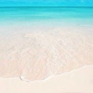 taoxanh73
