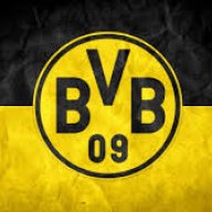 BVB09