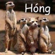 Hobanglu