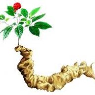 Phước 01222303999