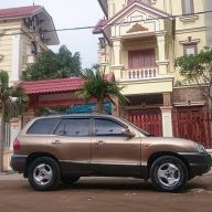 vietdung116