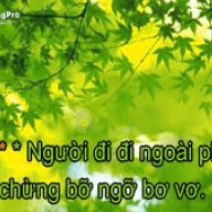 Người ngoài phố