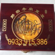 dongtrunghathao2012