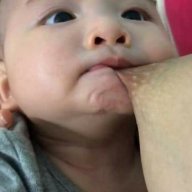 boybibabibo