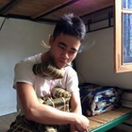 hunguyen37