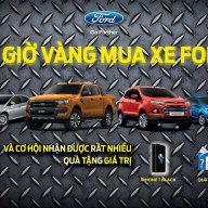 fordphamvandong