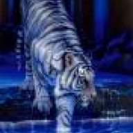 fattiger