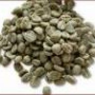 Arabica