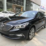 hoanganh238