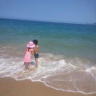 Vietlinh2004