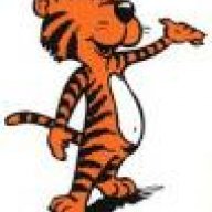 tiger-indochina