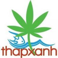 Thapxanh.com