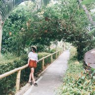 Quỳnh Anh TTQC