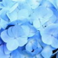 bluecloud