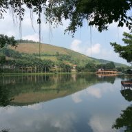 Hổ chúa 1105