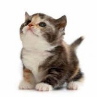 Ở Lành Gặp Hiền