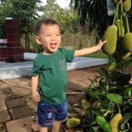 PinePham