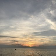Jayjayv