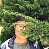 DzungNguyen_12