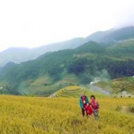 RuaBong