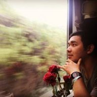 FlowerInDream