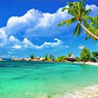 alovietnam