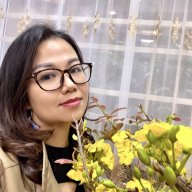Mẹ Sóc và Moon