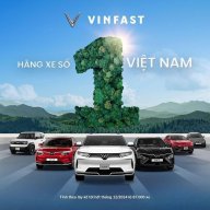 TrịnhTrunf
