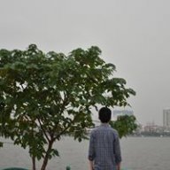 Trần Minh 31